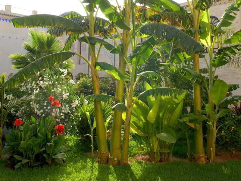 Riad Alkantara Fes Ngoại thất bức ảnh